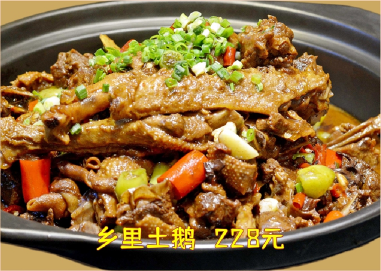乐动在线登录-乐动(中国)
张氏婆婆鹅